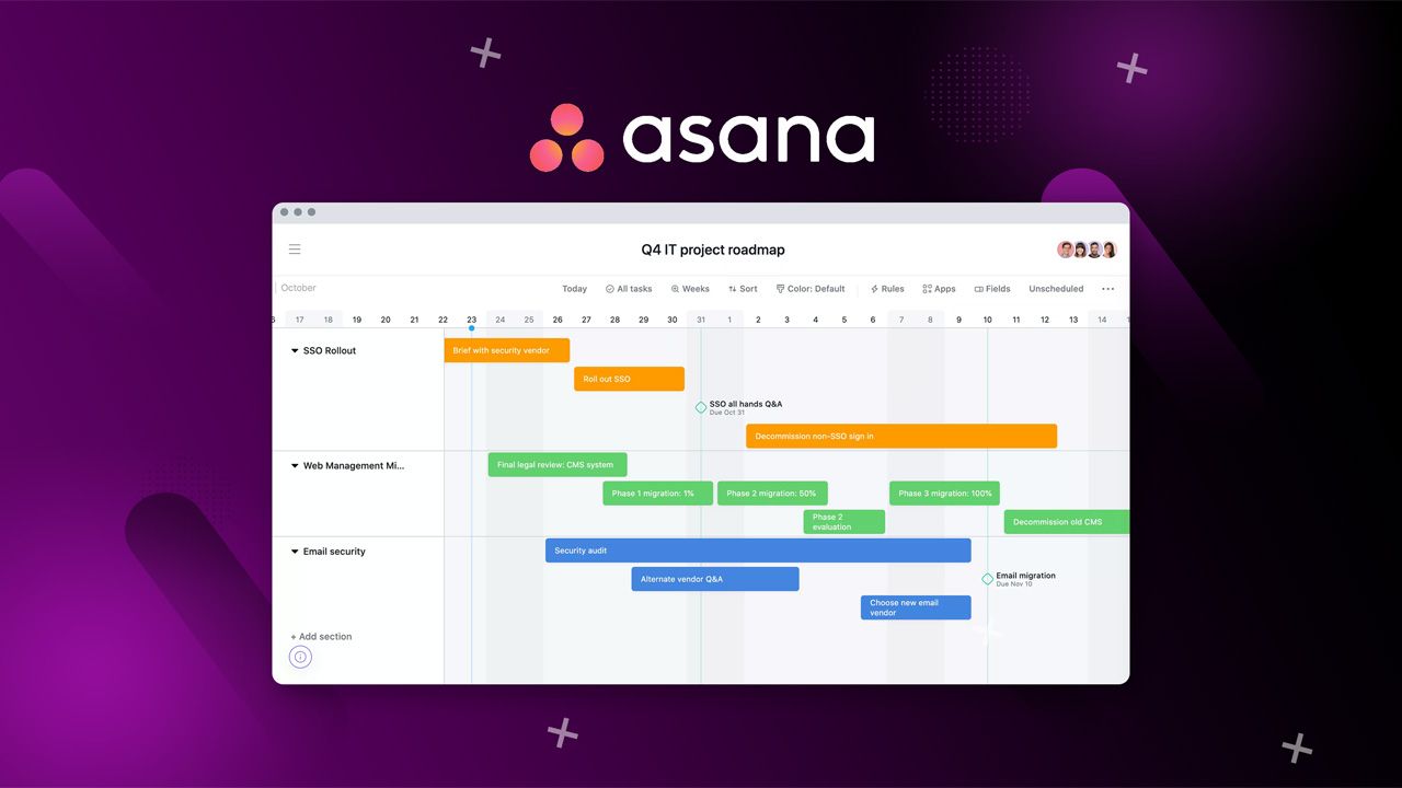 Asana Project Roadmap and Timeline
