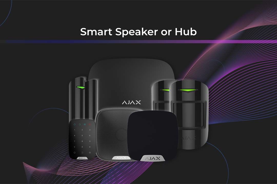 Smart Speaker or Hub